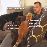 43543.jpg