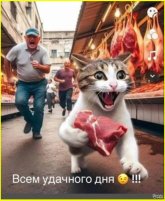 ХД=22.jpg