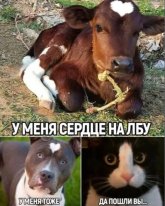 п.jpeg