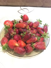 IMG_4782.jpeg IMG_4782.jpeg