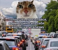 1000105733.jpg