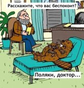 1780950944_2.jpg