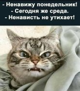 в.jpg