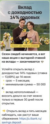 IMG_2624.jpeg