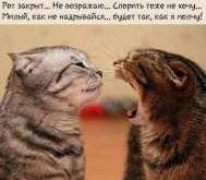 с.jpeg