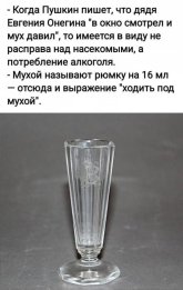 1781201452458.jpeg