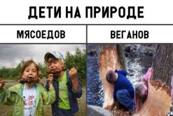 1536012078_kaifolog.net_prikolnye-kartinki-s-nadpisyami-3.jpg