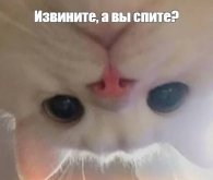 1781457193693.jpeg