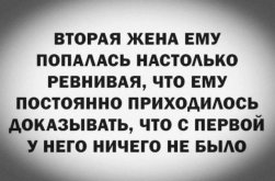 1781720320749.jpeg