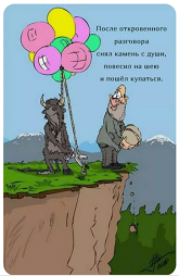 24556567.png