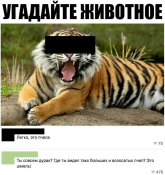 1781777903533.png