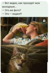 5565865787697.png