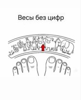 1000006676.jpg