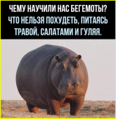 1782721905374.png
