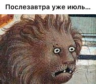 1000106838.jpg