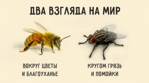 d6017a5aaf833b61cf31bc2624664473.jpg