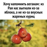 9d088708cd_gotovy-k-porcii-pozitiva-lovite-zarjad-horoshego-nastroenija-1.jpg