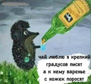1000107056.jpg