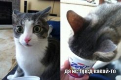 WgAa10ffHwODnqxPr28zwVoNYHqrTnrOEbQwfp9vKXcRXVpPVyBtqRqC5EisyjlrWrGaaLZFfS8FcPbmzvlhSAYe1zrrbW...jpg