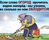 6820000-21bb53317d6fd968 (1).jpg