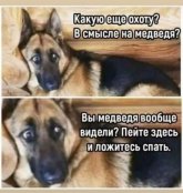 2982252769.jpg