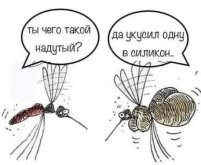 к.jpeg