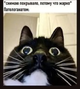 1000016511.jpg