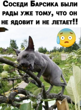 б.png