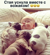 в.png