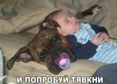 сс.png