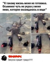 1000106848.jpg