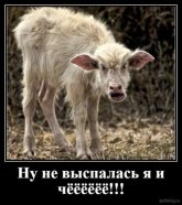 э.jpg