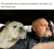 д.png