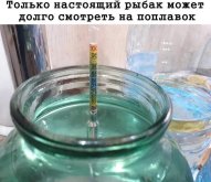 1000107932.jpg