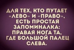 e1e23a1eb3_21091868.jpg