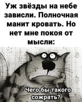 i.jpg