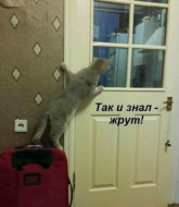ж.png