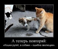 кс.jpg