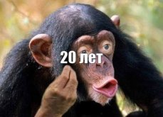 images.jpg