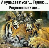 ю.png