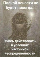 57b1c14431_mama-govorila-chto-tak-shutit-nelzja-znachit-my-vse-delaem-pravilno-21.jpg