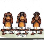 1785487115215.jpeg