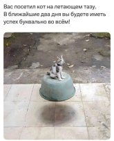 1000013835.jpg