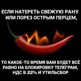 1785679592156.png