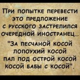 2393223_original.jpg
