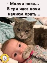 с.jpg