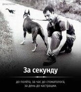 у.jpg