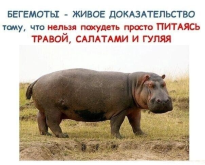 ю.png