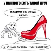 images (1).jpg