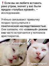 1000002823.jpg